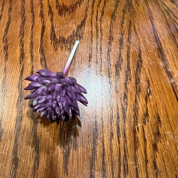 Faux Succulents - Green 16 pcs - Picture 12 of 16